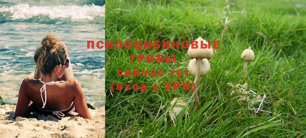 ГАЛЛЮЦИНОГЕННЫЕ ГРИБЫ Абдулино