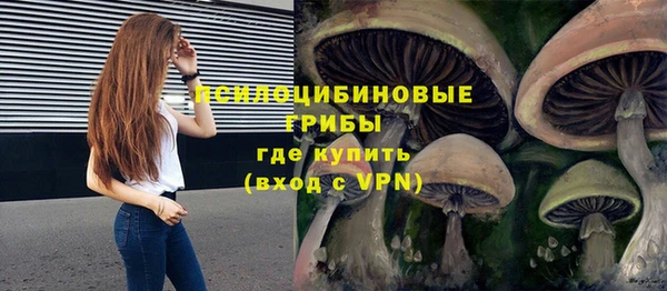 ГАЛЛЮЦИНОГЕННЫЕ ГРИБЫ Абдулино
