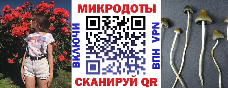 продажа наркотиков  Сусуман  Псилоцибиновые грибы Cubensis 